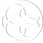 TAY General Best Trading – Trusted supplier of high-quality essential commodities in the UAE and international markets.